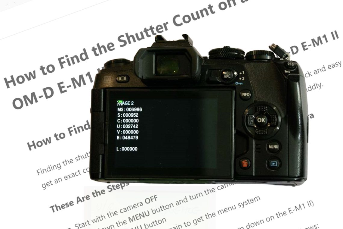 Finding the Shutter Count on an Olympus OM-D E-M1 II
