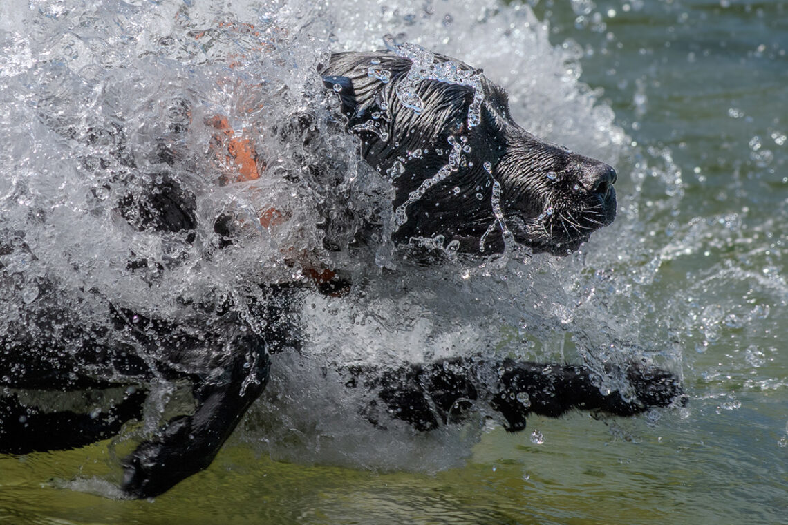 Carlie Haben Winning Photograph