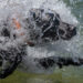 Carlie Haben Winning Photograph